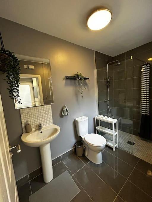 Vibrant City Centre Townhouse With Free Parking Rare Outdoor Patio Belfast Kültér fotó