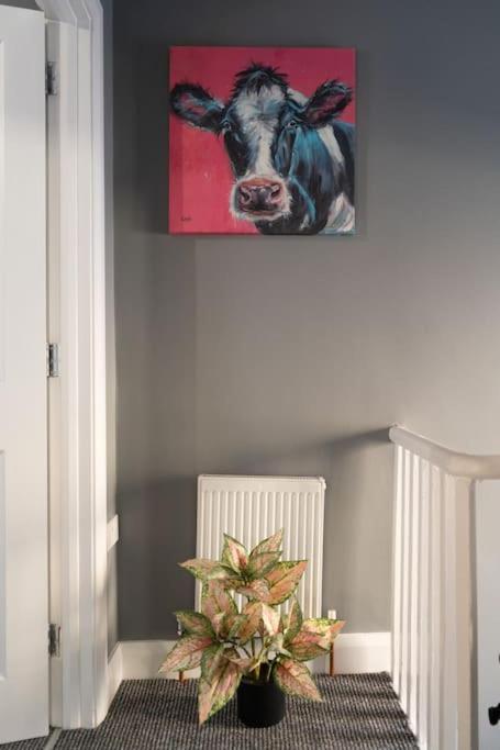 Vibrant City Centre Townhouse With Free Parking Rare Outdoor Patio Belfast Kültér fotó